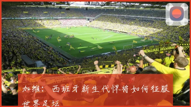 加维：西班牙新生代悍将如何征服世界足坛